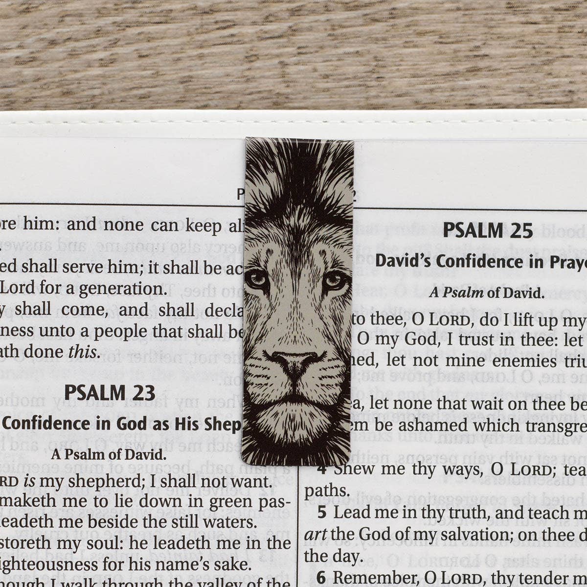 Magnetic Bookmark Set - Strong and Courageous